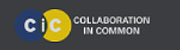collaboration-in-common-icon